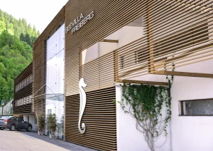 Visualisierung Umbau und Renovierung der Seevilla Freiberg in Zell am See, Eingang, Außenansicht mit Holzlammellenfassade